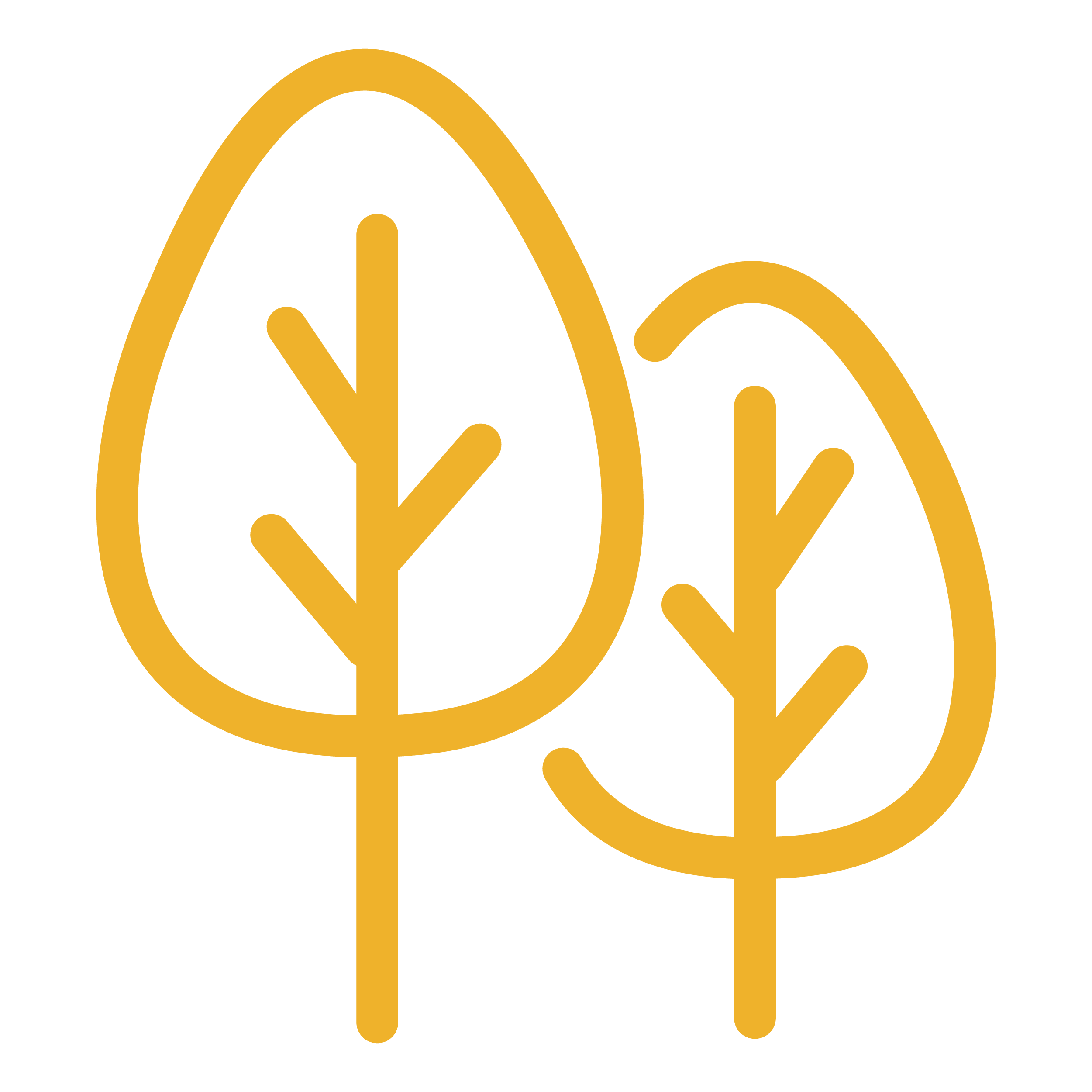 yellow trees icon